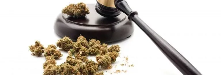 Marijuana laws in rhode island